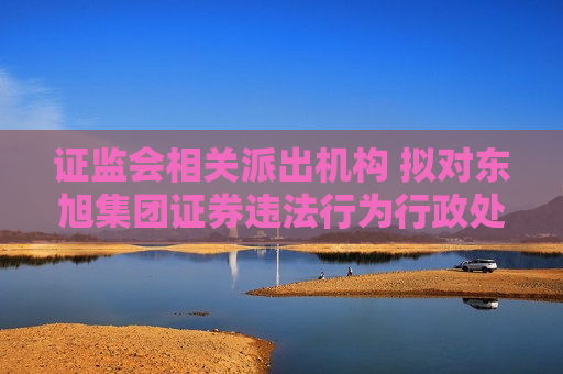  *** 相关派出机构 拟对东旭集团证券违法行为行政处罚