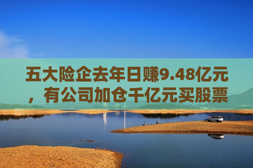 五大险企去年日赚9.48亿元，有公司加仓千亿元买股票