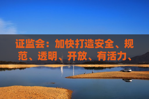  *** ：加快打造安全、规范、透明、开放、有活力、有韧性的资本市场