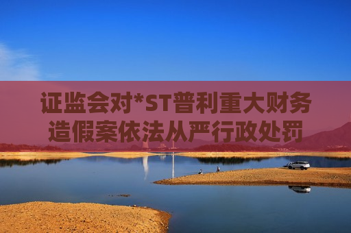  *** 对*ST普利重大财务造假案依法从严行政处罚  第1张