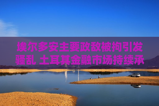 埃尔多安主要政敌被拘引发骚乱 土耳其金融市场持续承压