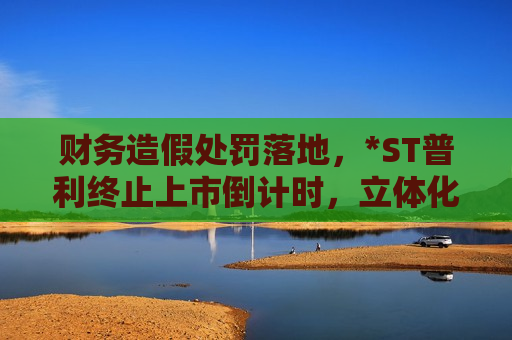 财务造假处罚落地，*ST普利终止上市倒计时，立体化追责进行中