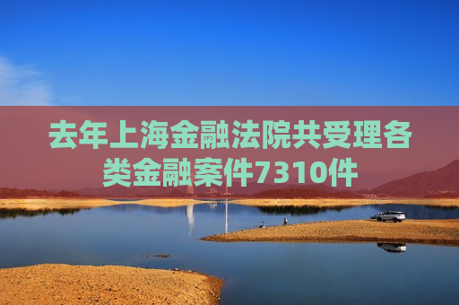 去年上海金融法院共受理各类金融案件7310件