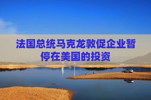 法国总统马克龙敦促企业暂停在美国的投资  第1张
