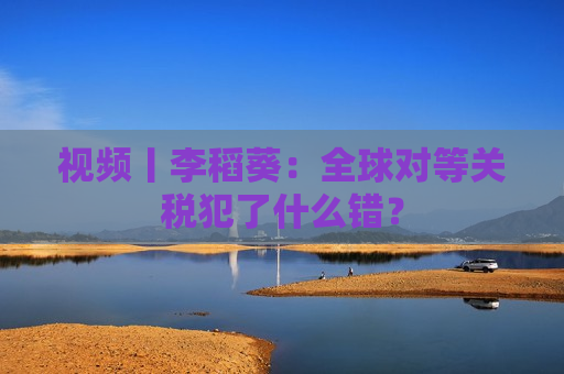 视频丨李稻葵：全球对等关税犯了什么错？