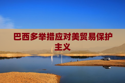 巴西多举措应对美贸易保护主义  第1张