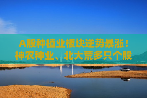 A股种植业板块逆势暴涨！神农种业、北大荒多只个股涨停，后市怎么走？
