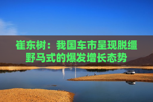 崔东树：我国车市呈现脱缰野马式的爆发增长态势