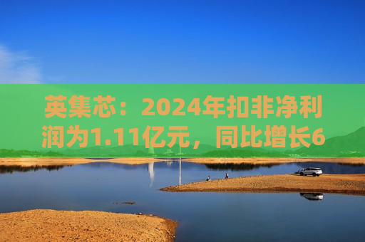 英集芯：2024年扣非净利润为1.11亿元，同比增长607.94%