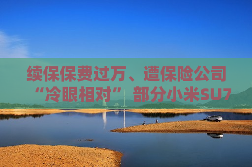 续保保费过万、遭保险公司“冷眼相对” 部分小米SU7首批车主遭续保难题  第1张