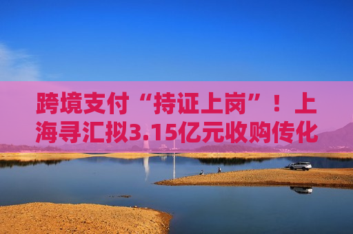 跨境支付“持证上岗”！上海寻汇拟3.15亿元收购传化支付，多家跨境支付服务商布局境内支付牌照