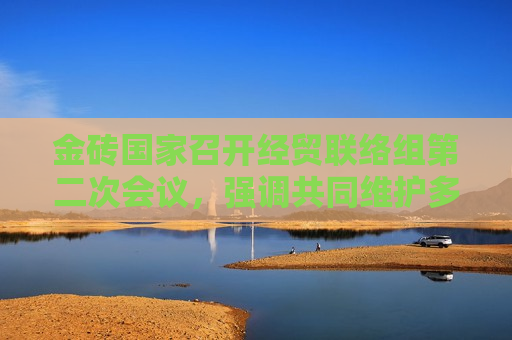 金砖国家召开经贸联络组第二次会议，强调共同维护多边贸易体制，反对单边主义和贸易保护主义
