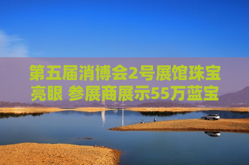 第五届消博会2号展馆珠宝亮眼 参展商展示55万蓝宝石胸针