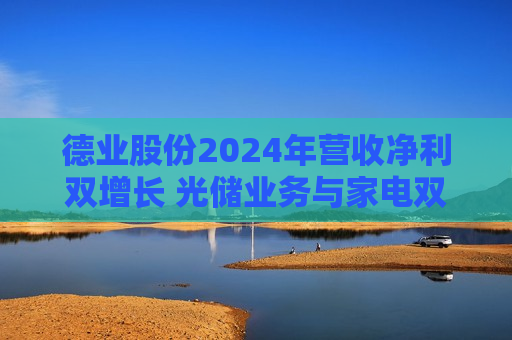 德业股份2024年营收净利双增长 光储业务与家电双轮驱动发力