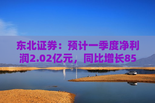 东北证券：预计一季度净利润2.02亿元，同比增长859.84%