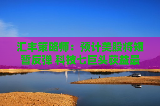 汇丰策略师：预计美股将短暂反弹 科技七巨头获益最多