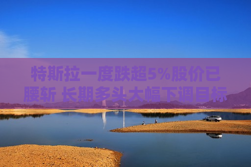 特斯拉一度跌超5%股价已腰斩 长期多头大幅下调目标价