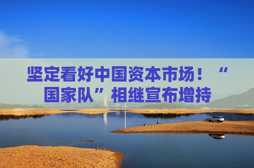 坚定看好中国资本市场！“国家队”相继宣布增持