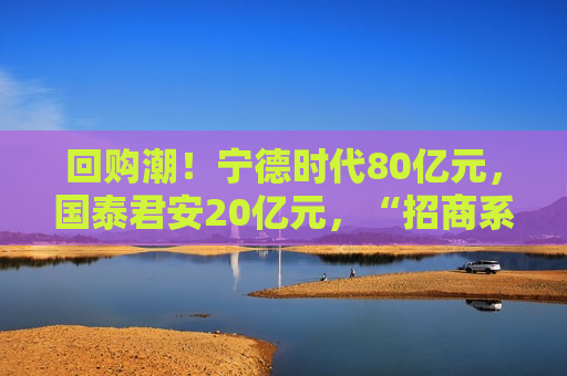 回购潮！宁德时代80亿元，国泰君安20亿元，“招商系”7家公司齐发公告提速回购  第1张