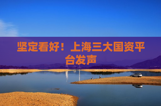 坚定看好！上海三大国资平台发声