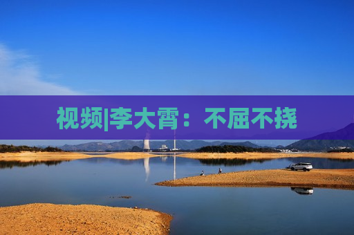 视频|李大霄：不屈不挠