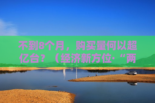 不到8个月，购买量何以超亿台？（经济新方位·“两新”政策发力显效）