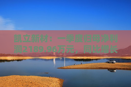 凯立新材：一季度归母净利润2189.96万元，同比增长90.48%  第1张