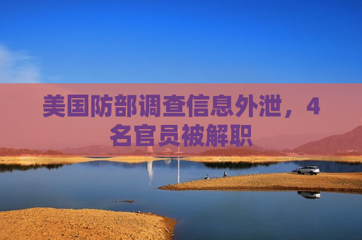 美国防部调查信息外泄，4名官员被解职