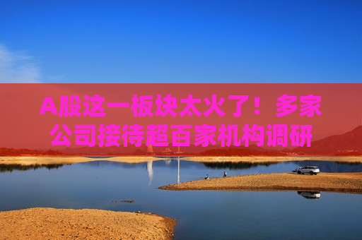 A股这一板块太火了！多家公司接待超百家机构调研