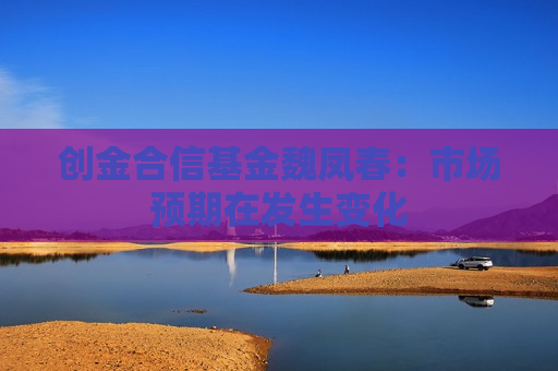创金合信基金魏凤春：市场预期在发生变化