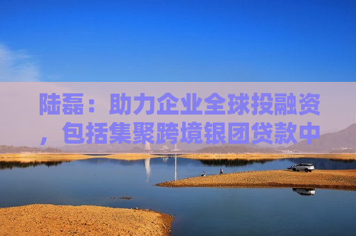 陆磊：助力企业全球投融资，包括集聚跨境银团贷款中心和业务试点