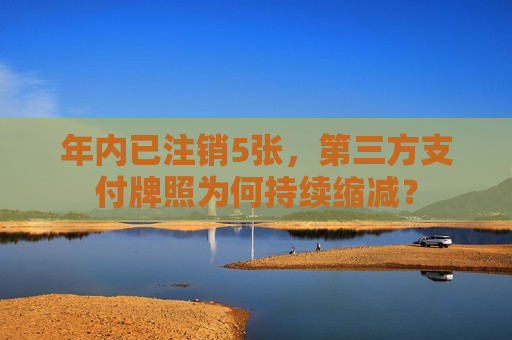 年内已注销5张，第三方支付牌照为何持续缩减？