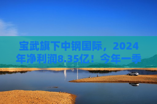 宝武旗下中钢国际，2024年净利润8.35亿！今年一季度净利润2.32亿！
