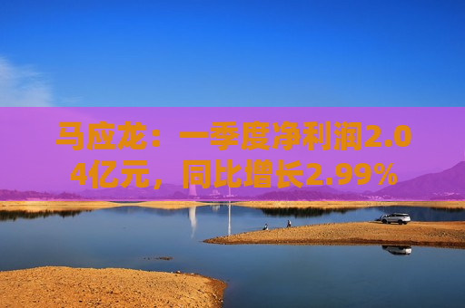 马应龙：一季度净利润2.04亿元，同比增长2.99%