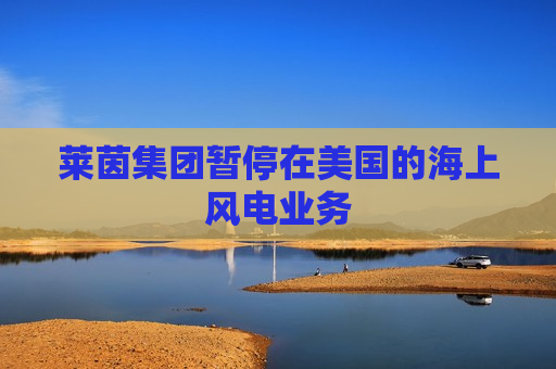 莱茵集团暂停在美国的海上风电业务