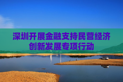 深圳开展金融支持民营经济创新发展专项行动