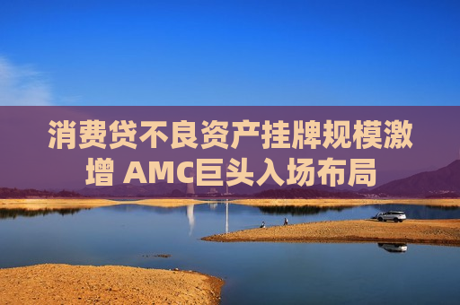 消费贷不良资产挂牌规模激增 AMC巨头入场布局
