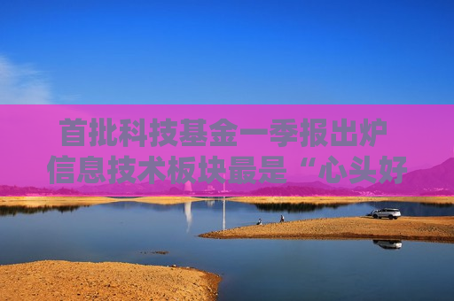 首批科技基金一季报出炉 信息技术板块最是“心头好”