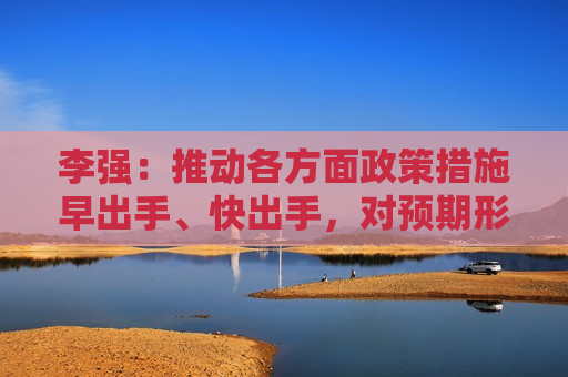 李强：推动各方面政策措施早出手、快出手，对预期形成积极影响