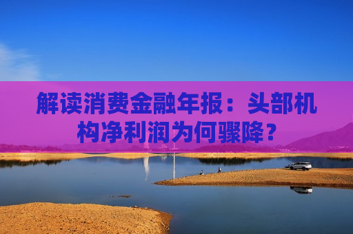 解读消费金融年报：头部机构净利润为何骤降？