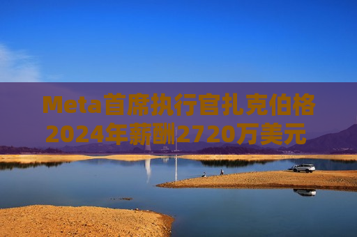 Meta首席执行官扎克伯格2024年薪酬2720万美元 高于上年的2440万美元
