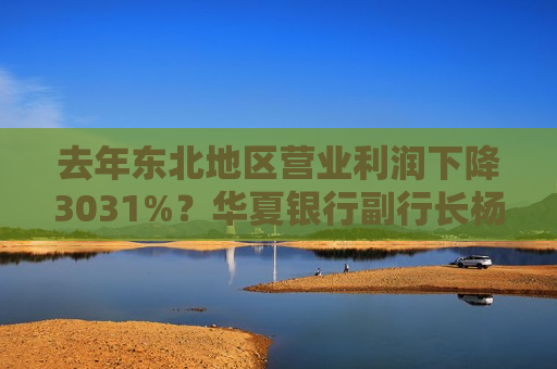 去年东北地区营业利润下降3031%？华夏银行副行长杨伟：加大了该地区不良资产处置力度