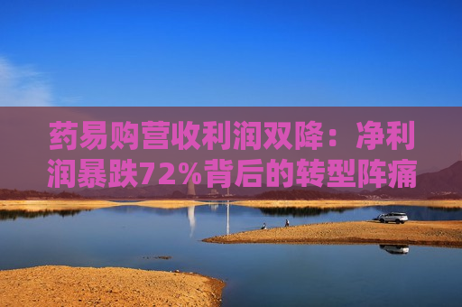 药易购营收利润双降：净利润暴跌72%背后的转型阵痛与C端豪赌