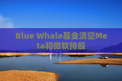 Blue Whale基金清空Meta和微软持股