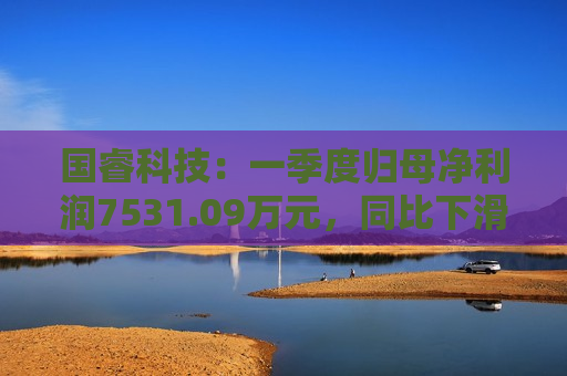 国睿科技：一季度归母净利润7531.09万元，同比下滑34.81%