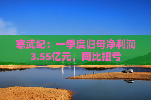 寒武纪：一季度归母净利润3.55亿元，同比扭亏