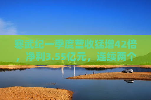 寒武纪一季度营收猛增42倍，净利3.55亿元，连续两个季度盈利