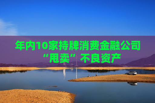 年内10家持牌消费金融公司“甩卖”不良资产