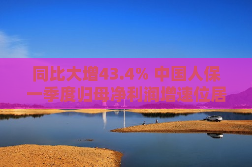 同比大增43.4% 中国人保一季度归母净利润增速位居五大上市险企之首