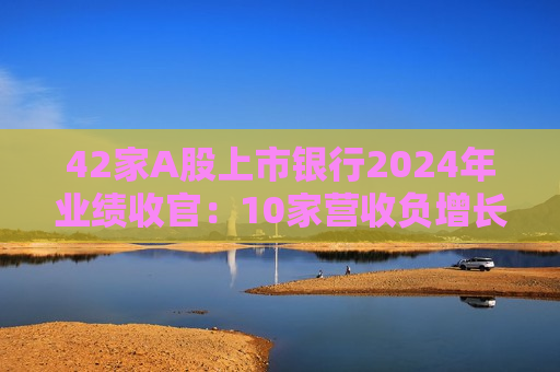 42家A股上市银行2024年业绩收官：10家营收负增长，净息差更高降51基点